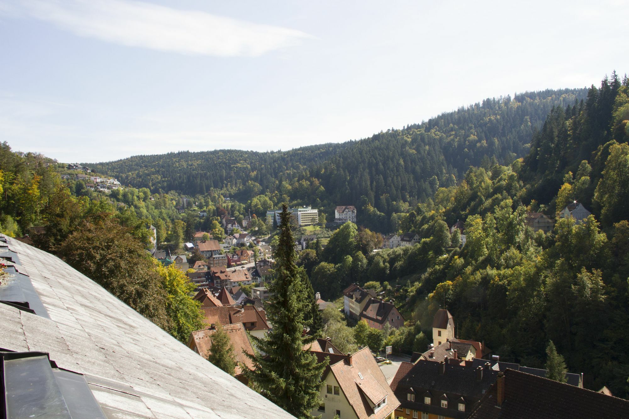 Best Western Plus Schwarzwald Residenz Triberg im Schwarzwald Εξωτερικό φωτογραφία